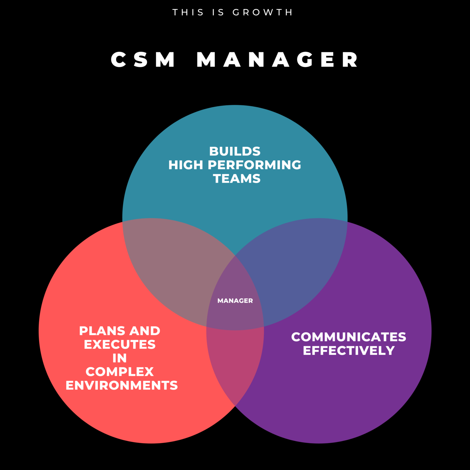 csm-manager-skills-matrix-daphne-costa-lopes